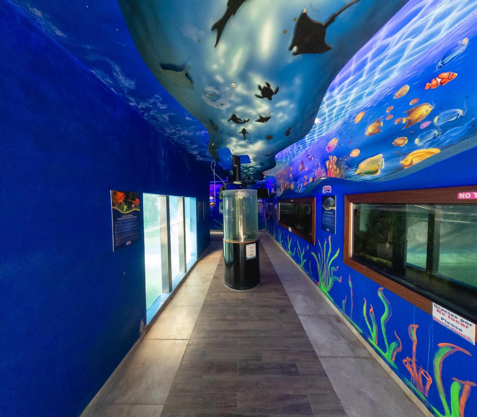Splash Inn Nuevo Vallarta & Parque Acuatico ภายนอก รูปภาพ