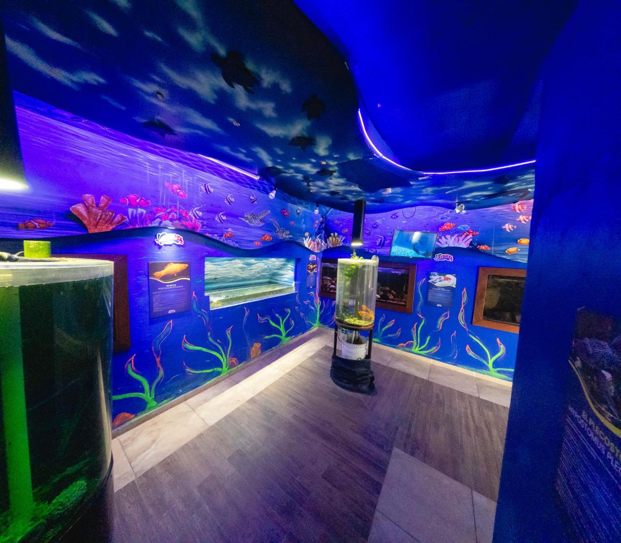 Splash Inn Nuevo Vallarta & Parque Acuatico ภายนอก รูปภาพ