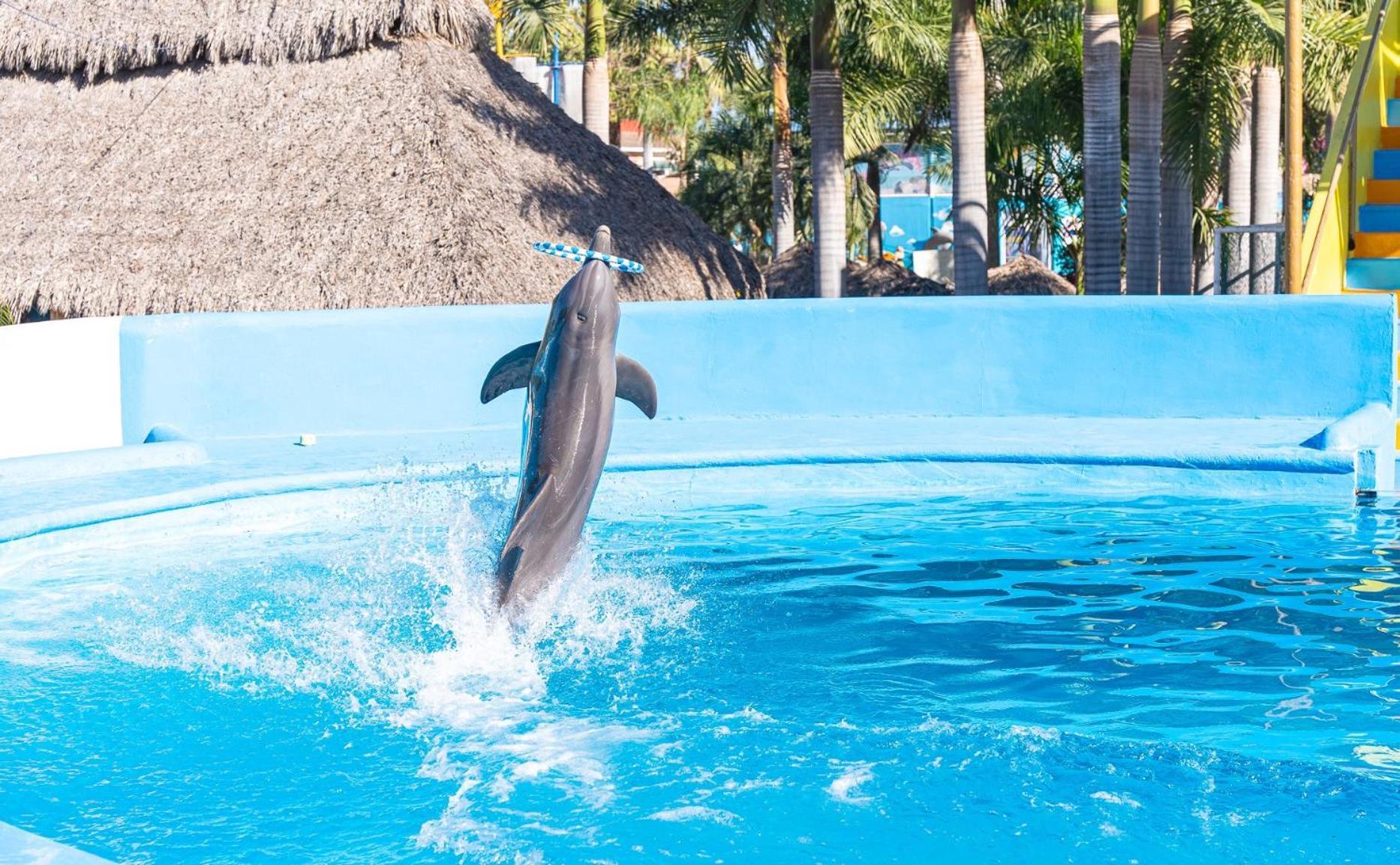 Splash Inn Nuevo Vallarta & Parque Acuatico ภายนอก รูปภาพ