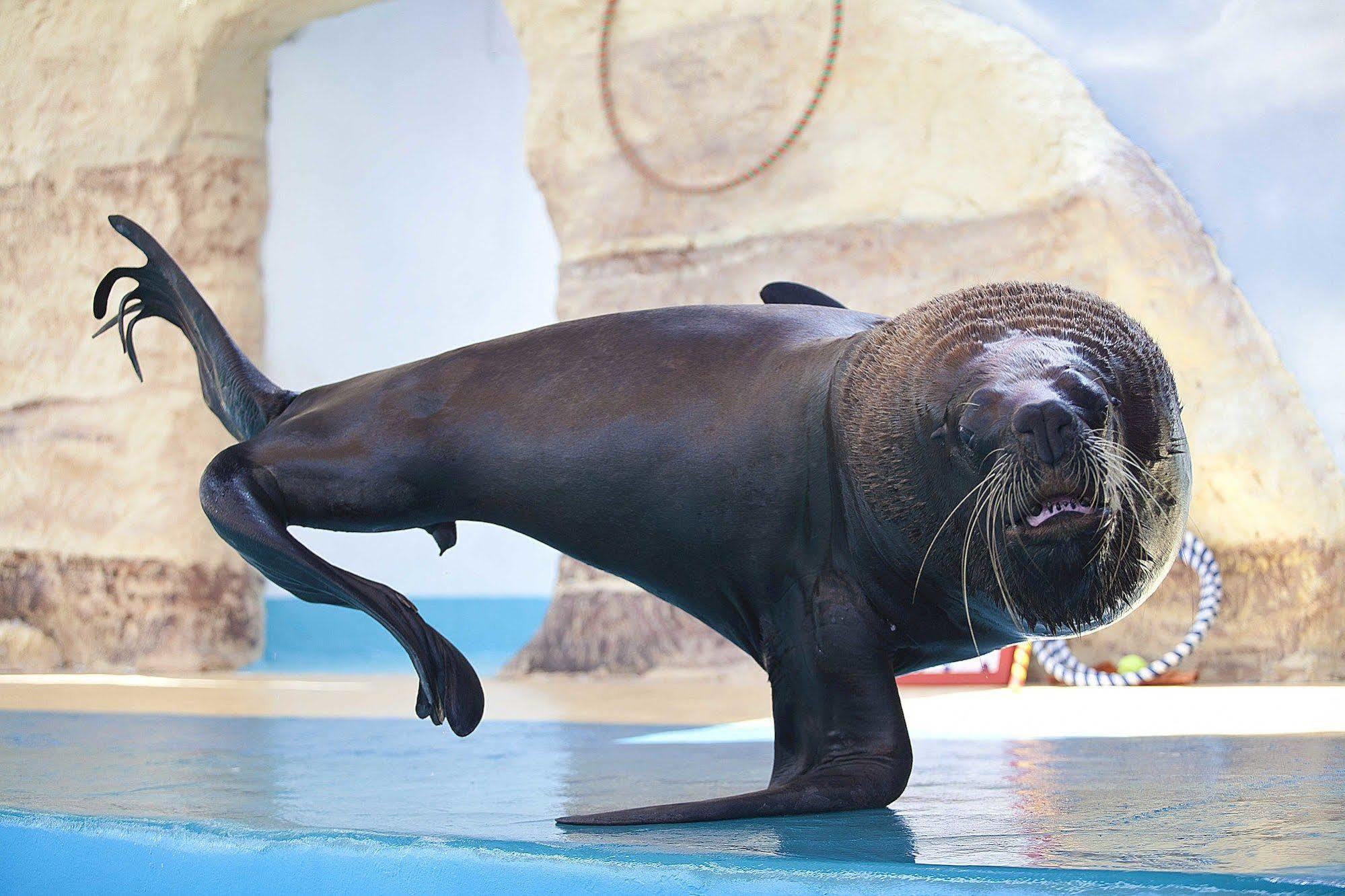 Splash Inn Nuevo Vallarta & Parque Acuatico ภายนอก รูปภาพ
